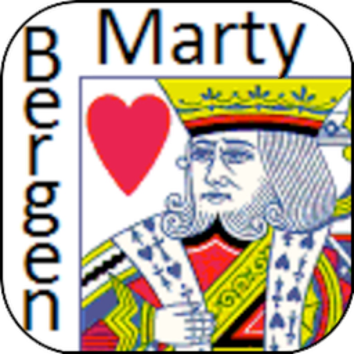 Bergen Bridge Advanced Defense app icon