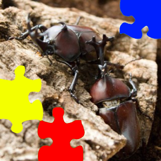 Rhinoceros Beetle Jigsaw Puzzle app icon