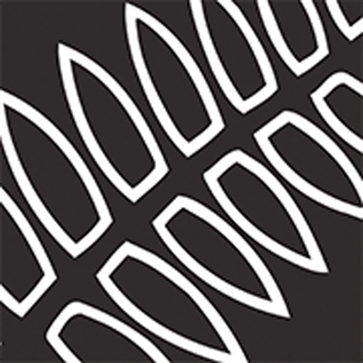 NZ Team Hub app icon