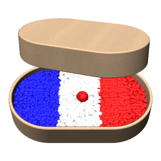DELF DALF French Language Quiz app icon