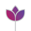 Marist Daily Prayer icon