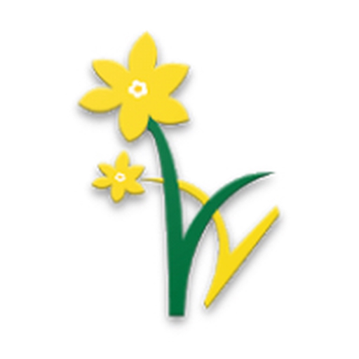 Daffodils - Parent App app icon