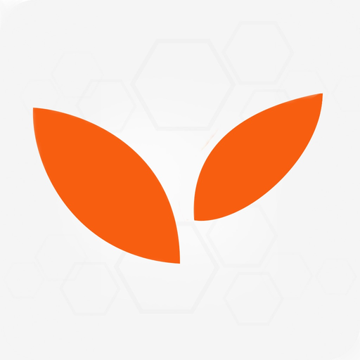 Funding Services by Lyft Capital app icon