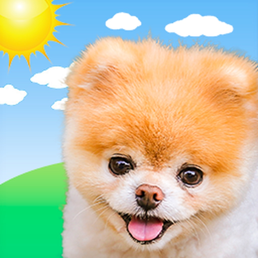 Boo Weather: Pomeranian Puppy app icon