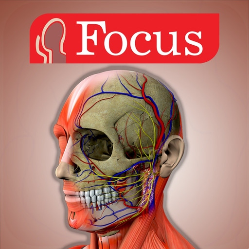 Head and Neck app icon