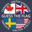 Guess The Flag: Quiz icon
