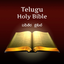 Telugu Bible: Indian Version icon