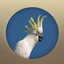 Field Guide to the Budj Bim Cultural Landscape icon