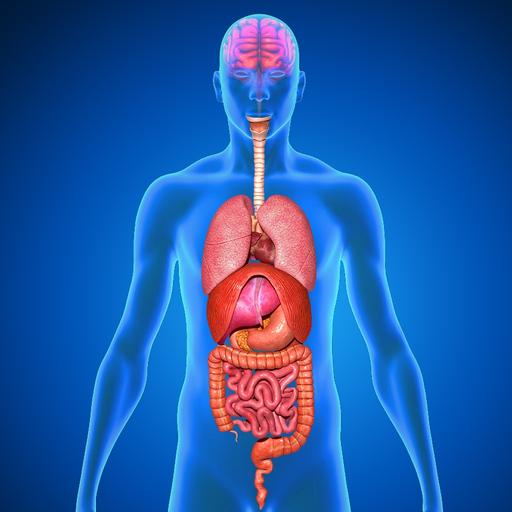 Menschliche Körper Anatomie app icon