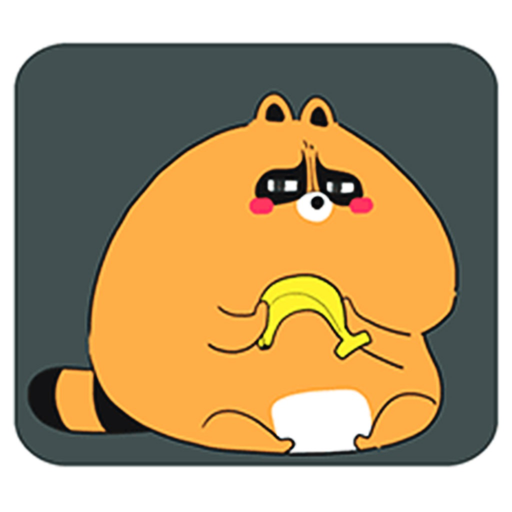 Lovely Raccoon app icon