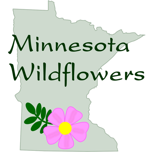 Minnesota Wildflowers Info. app icon