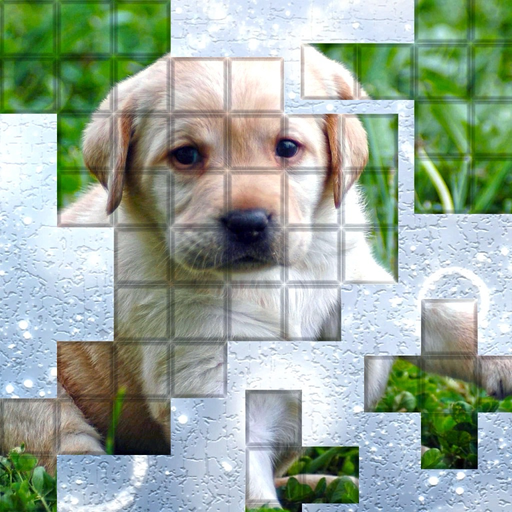 PicPu Dog Puzzle app icon