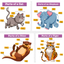 Pictures Of Animals And Their Body Parts Flashcard icon