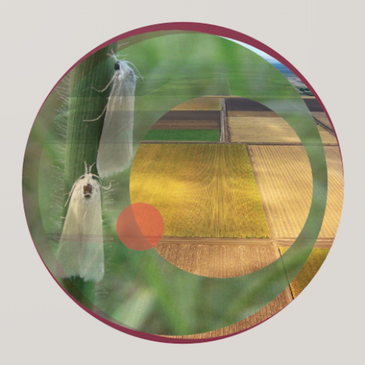 Lepidopteran Families app icon
