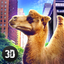 Camel City Attack Simulator 3D icon