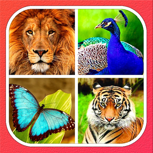 Animals Learning app icon