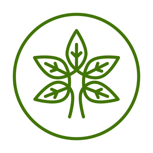 Yoga Daily Video app icon