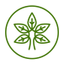 Yoga Daily Video icon