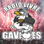 Rádio Livre Gaviões APP icon