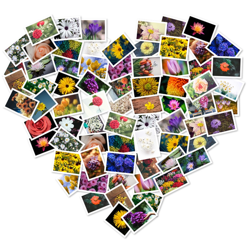 FigrCollage 2 Home Edition app icon