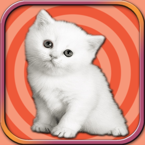 Adorable Kitten Run – Pet Simulation game 2017 app icon