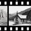 Historical New Zealand icon