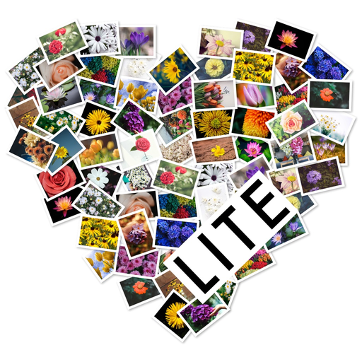 FigrCollage 2 Lite Edition app icon