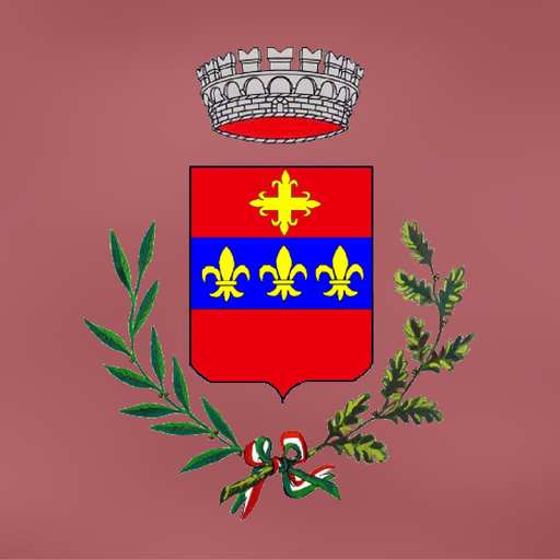 MyChiusiDellaVerna app icon
