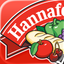 Hannaford icon
