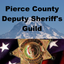 PCDS Guild icon