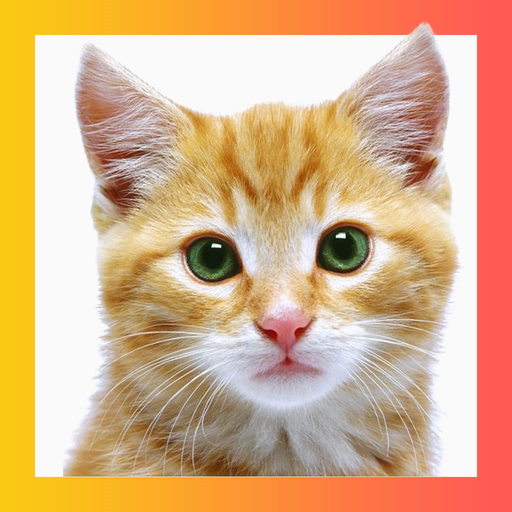 Animal Sounds and Pictures for Baby app icon