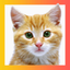 Animal Sounds and Pictures for Baby icon