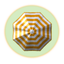 BeachPass icon