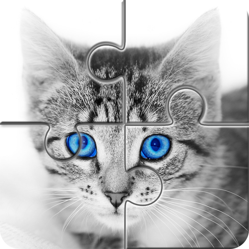 Hola Little Cats app icon