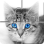 Hola Little Cats icon