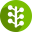 Path Tree icon