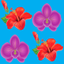 Memory Game - English Words icon