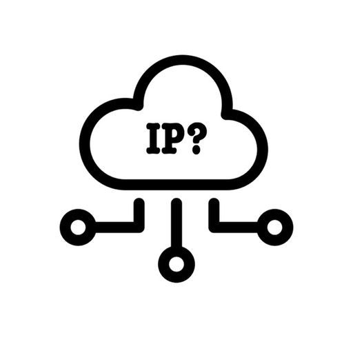 What is my IP Address? app icon