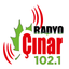 Radyo Çınar icon