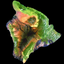 Big Island Bus icon