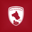 Rodez Aveyron Football icon