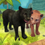 Panther Family Sim : Jungle icon