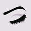 Brows. icon