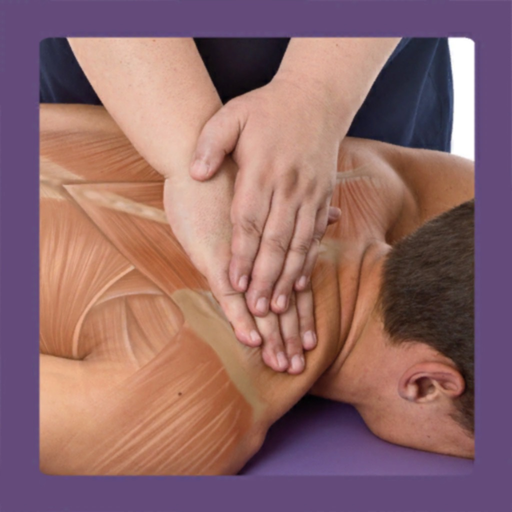 Anatomy & Sports Massage AR app icon