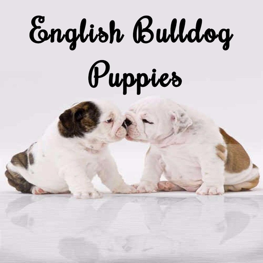 English Bulldog Puppies app icon