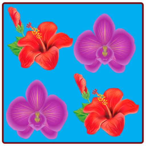 Memory Puzzle Game app icon