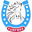 TurfBee icon