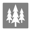 Forks Assembly of God icon