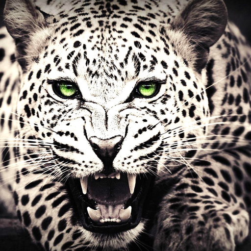 Animal Wallpapers & Backgrounds app icon