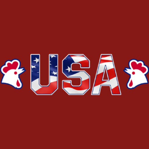 USA Fried Chicken & Pizza app icon